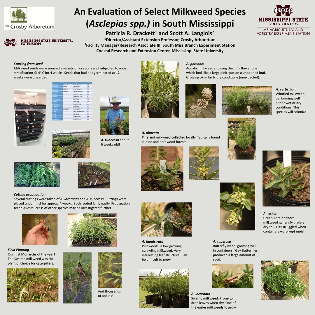 Mississippi Milkweeds Crosby Arboretum